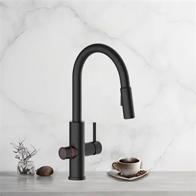 Tektek 4 f'1 Bi Pull Out Spray